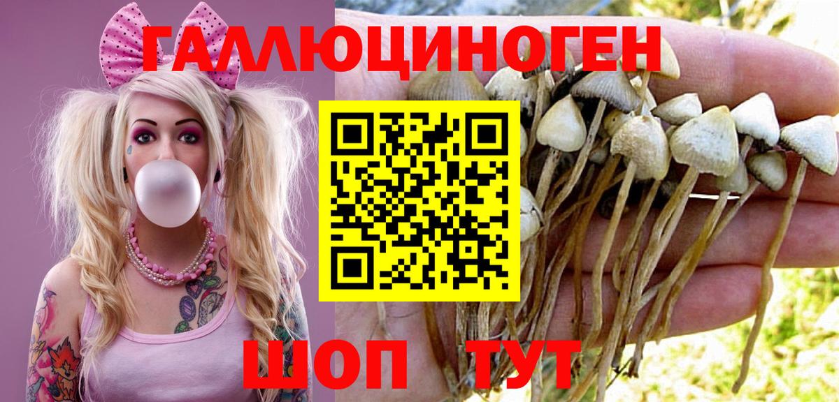Галлюциногенные грибы GOLDEN TEACHER Новоуральск