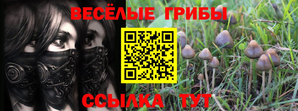 Новоуральск  Псилоцибиновые грибы прущие грибы  Псилоцибиновые грибы ЛСД  Вход с VPN 